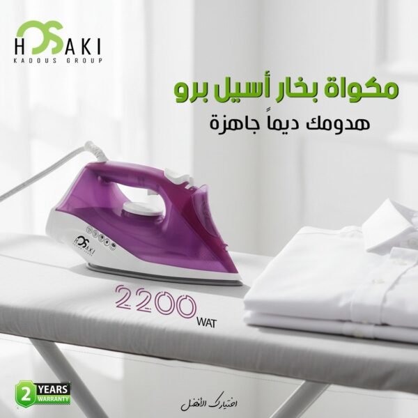 مكواه بخار أسيل برو هوساكي