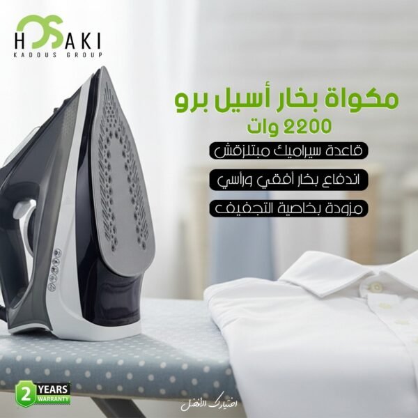 مكواه بخار أسيل برو هوساكي